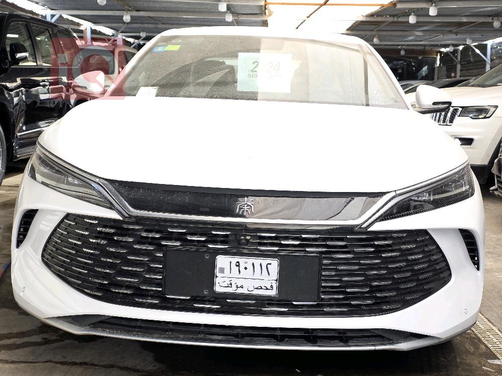 بي واي دي كوين L DM-i